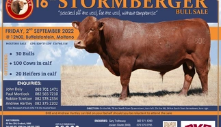 stormberger-2022.jpg.webp
