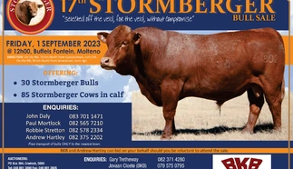 stormberger-2023-finaal-poster.jpg.webp