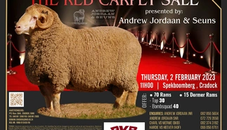 the-red-carpet-sale-new-1.jpg.webp