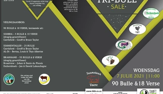 tri-bull-7-julie-2021-a3-gevou-na-a4-pamflet-1.jpg_buiteblad-custom-1.jpg.webp