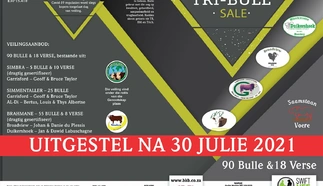 tri-bull-7-julie-2021-a3-gevou-na-a4-pamflet-large.jpg.webp