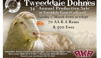 tweeddale-2022-poster.jpg.webp
