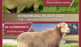 uni-stellenbosch-a3-afr20231.jpg.webp