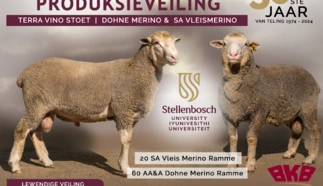 us-advert-1.png.webp