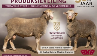us-advert.png.webp