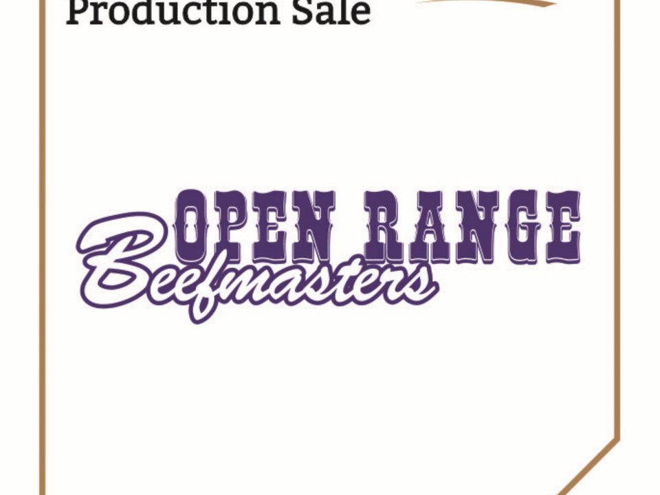 OPEN RANGE BEEFMASTERS PRODUCTION AUCTION | BKB Events - For all agricultural events and auctions