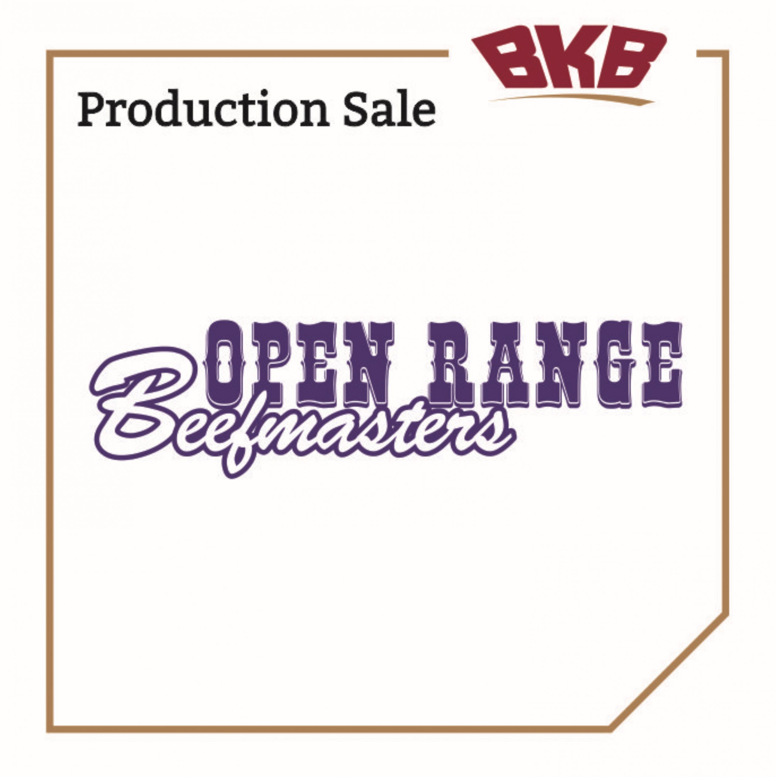 OPEN RANGE BEEFMASTERS PRODUCTION AUCTION | BKB Events - For all agricultural events and auctions