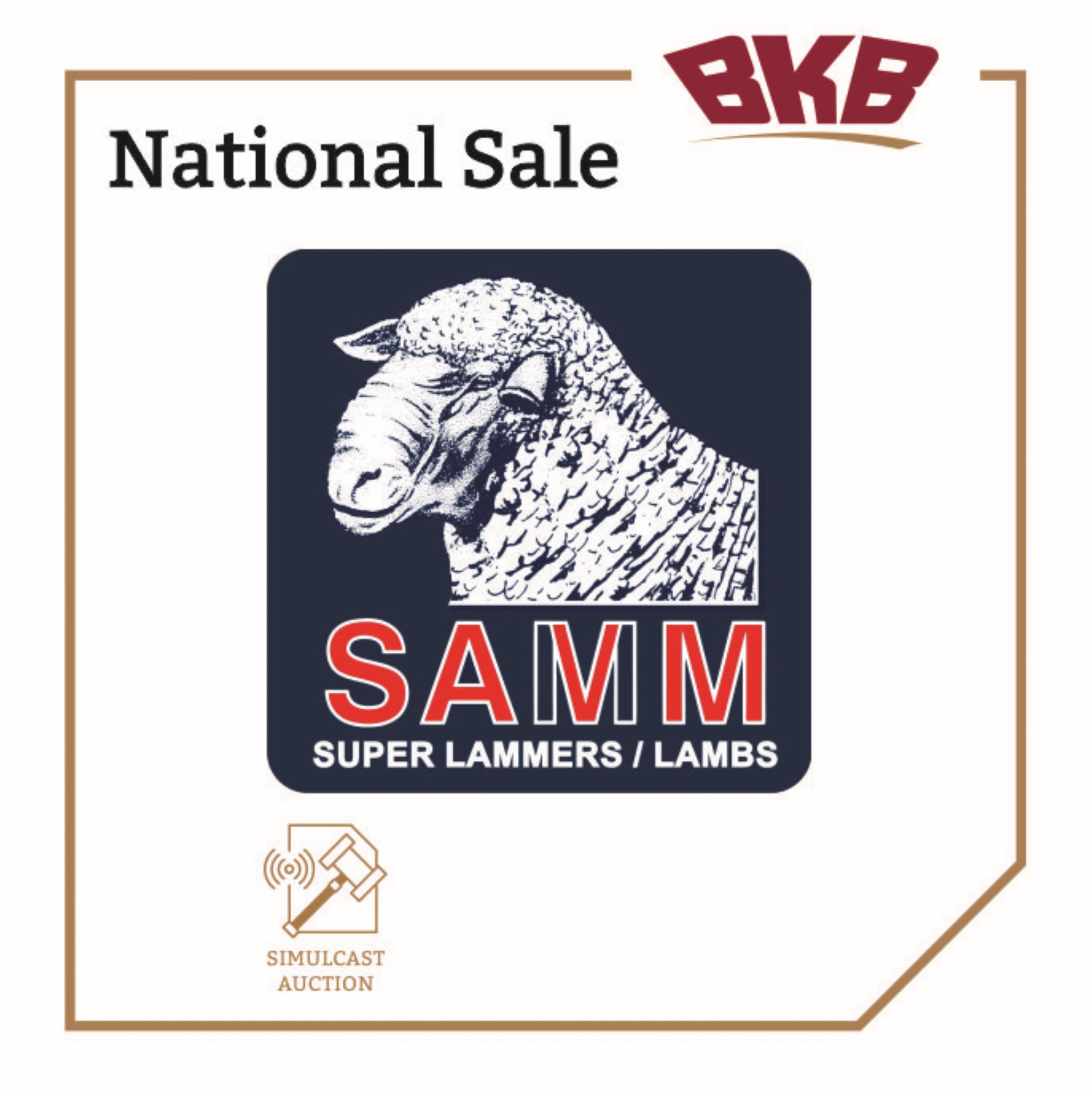 66th National Samm Auction| BKB Events - For all agricultural events and auctions