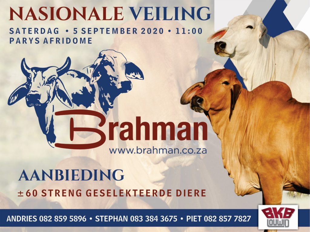 NATIONAL BRAHMAN SALE BKB Events